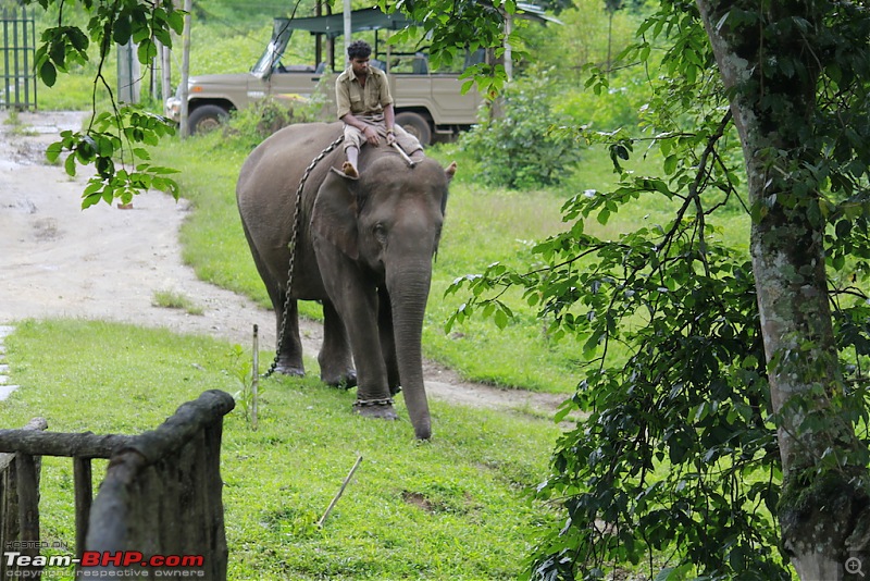 Meeting the Elephants - Family overnighter at Dubare Elephant Camp-bath1.jpg