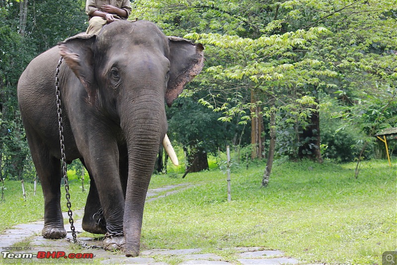 Meeting the Elephants - Family overnighter at Dubare Elephant Camp-bath14.jpg