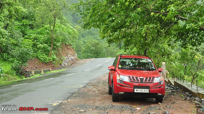 Revisiting the Greenery - Monsoon drives, 2014-dsc_1398.jpg