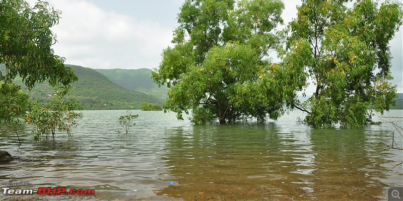 Revisiting the Greenery - Monsoon drives, 2014-dsc_1501.jpg