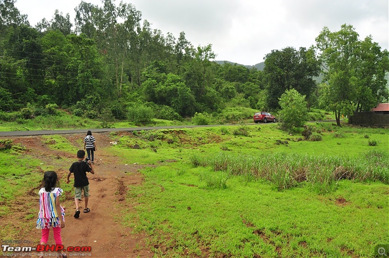 Revisiting the Greenery - Monsoon drives, 2014-dsc_1524.jpg