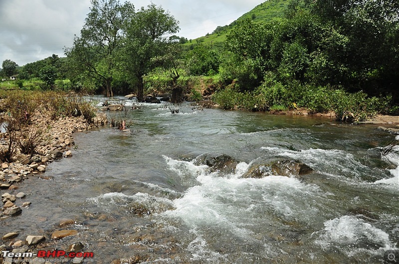 Revisiting the Greenery - Monsoon drives, 2014-dsc_1544.jpg