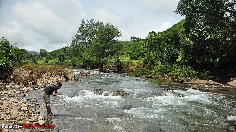 Revisiting the Greenery - Monsoon drives, 2014-dsc_1547.jpg