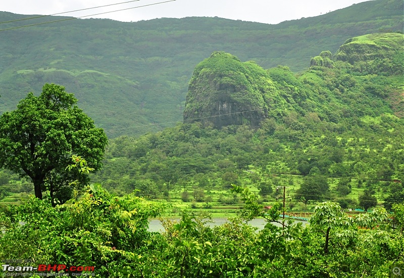 Revisiting the Greenery - Monsoon drives, 2014-dsc_1569.jpg