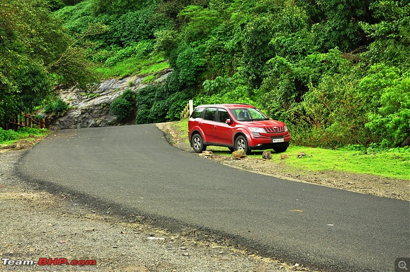 Revisiting the Greenery - Monsoon drives, 2014-dsc_1595.jpg