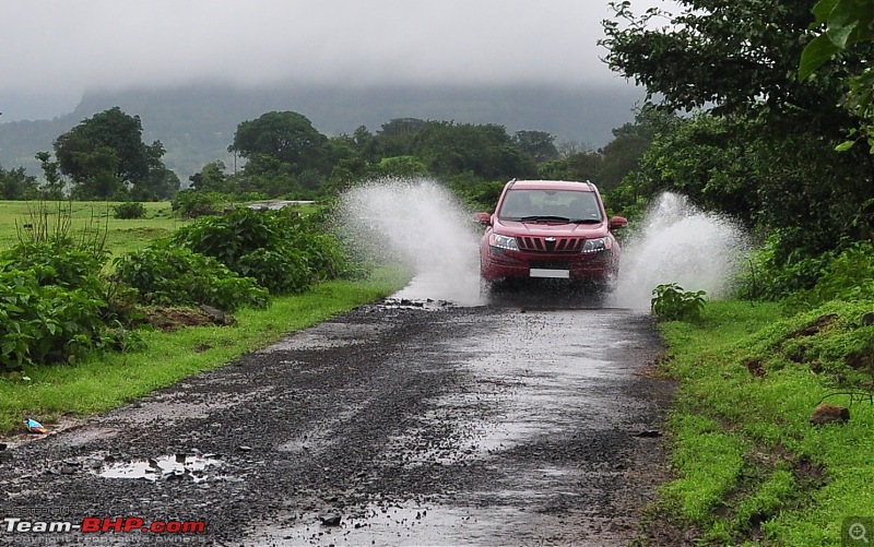 Revisiting the Greenery - Monsoon drives, 2014-dsc_0021.jpg