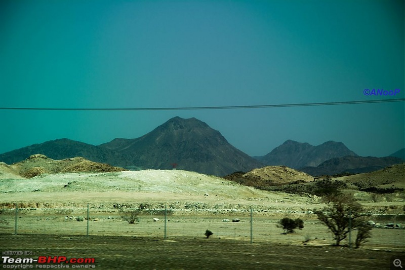 Voyage: Holler of the mountains-tn_dsc_0205.jpg