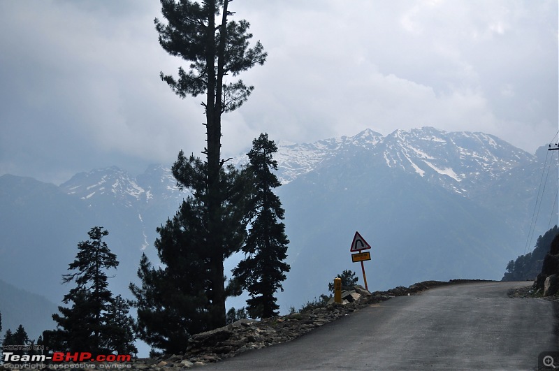 Kashmir - A Traveller's Paradise!-dsc_0881.jpg