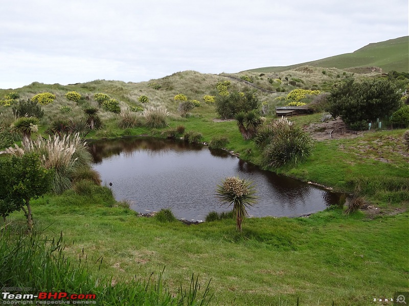 New Zealand: End to End-dsc02533.jpg