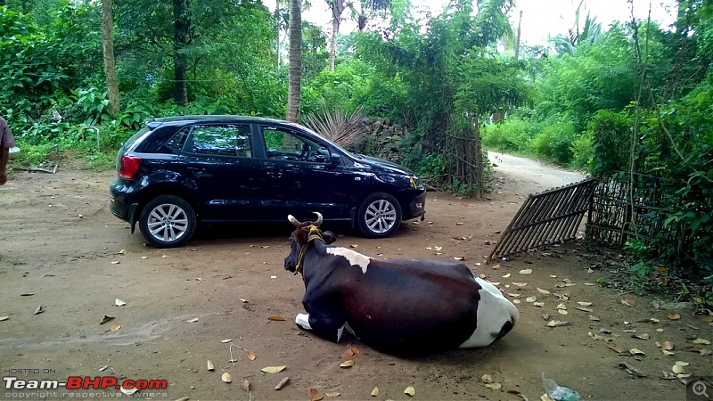 Polo GT TDI Chronicles - From Surat to Gods Own Country for my Wedding!-moo.jpg