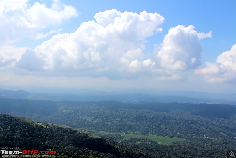 Polo GT TDI Chronicles - From Surat to Gods Own Country for my Wedding!-munnar_1.jpg