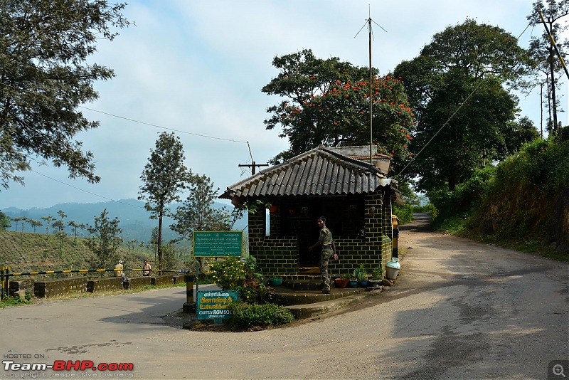 Chennai to Kodaikanal - via Valparai, Athirappilly, Kochi & Vagamon-00400.jpg