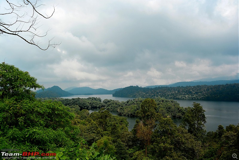 Chennai to Kodaikanal - via Valparai, Athirappilly, Kochi & Vagamon-0426.jpg