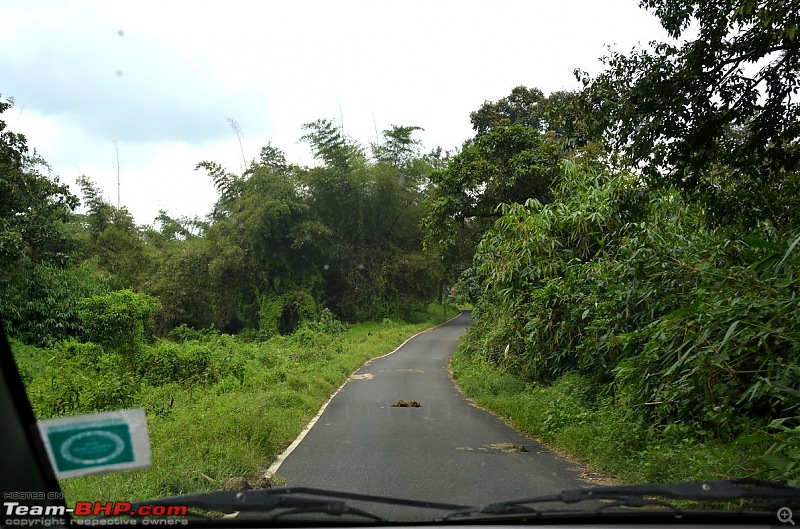 Chennai to Kodaikanal - via Valparai, Athirappilly, Kochi & Vagamon-00461.jpg