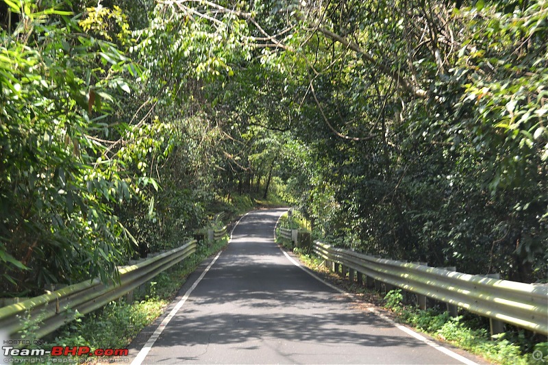 Chennai to Kodaikanal - via Valparai, Athirappilly, Kochi & Vagamon-00489.jpg