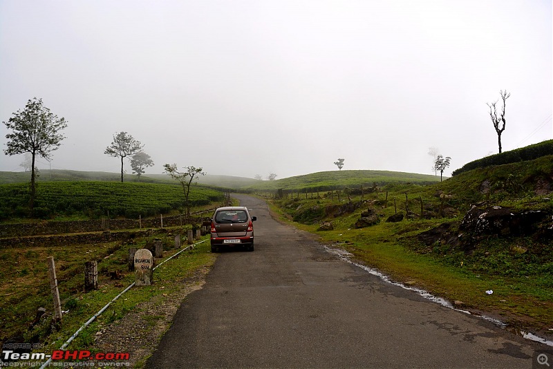 Chennai to Kodaikanal - via Valparai, Athirappilly, Kochi & Vagamon-001048.jpg