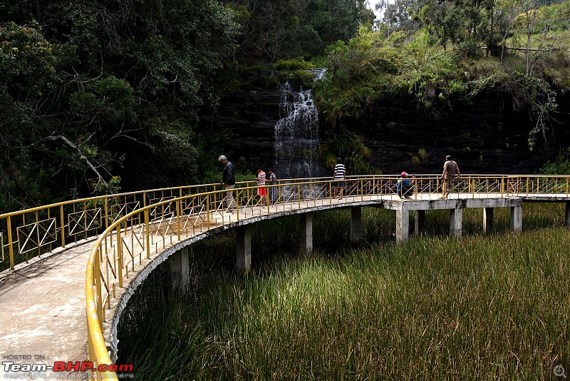 Chennai to Kodaikanal - via Valparai, Athirappilly, Kochi & Vagamon-.jpg