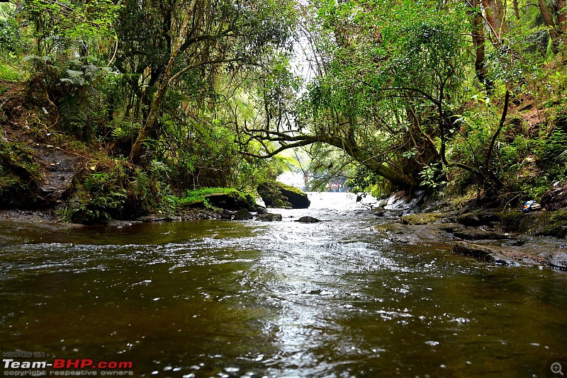 Chennai to Kodaikanal - via Valparai, Athirappilly, Kochi & Vagamon-f.jpg