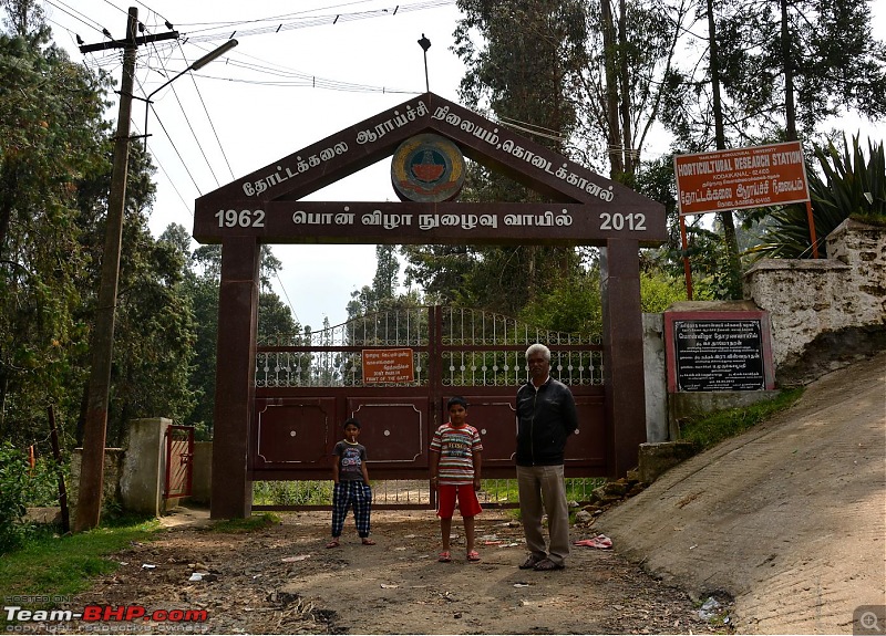 Chennai to Kodaikanal - via Valparai, Athirappilly, Kochi & Vagamon-1141.jpg