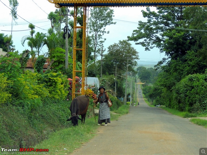 Diary scribes of an XUV500 - Drive from Kochi to Coorg-21.jpg