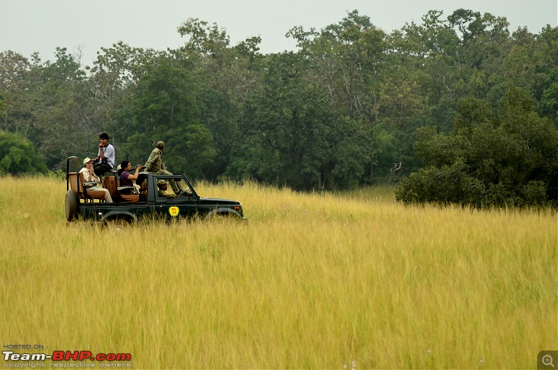 Triumphs & Tigers : Heady combination for a 1000 kms weekend ride!-_dsc1985.jpg