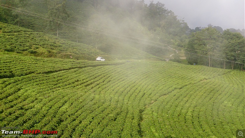 Sailed through North Sikkim in Sedans, Hatchbacks and an SUV-dsc_0286.jpg