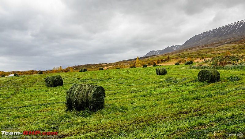 Iceland: A song of Ice and Fire-a7_0093_lrxl.jpg