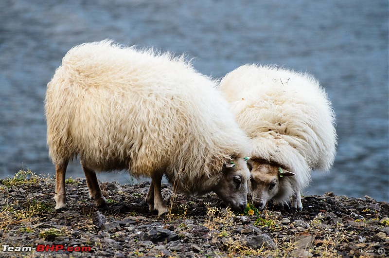 Iceland: A song of Ice and Fire-a7_0268_lrxl.jpg