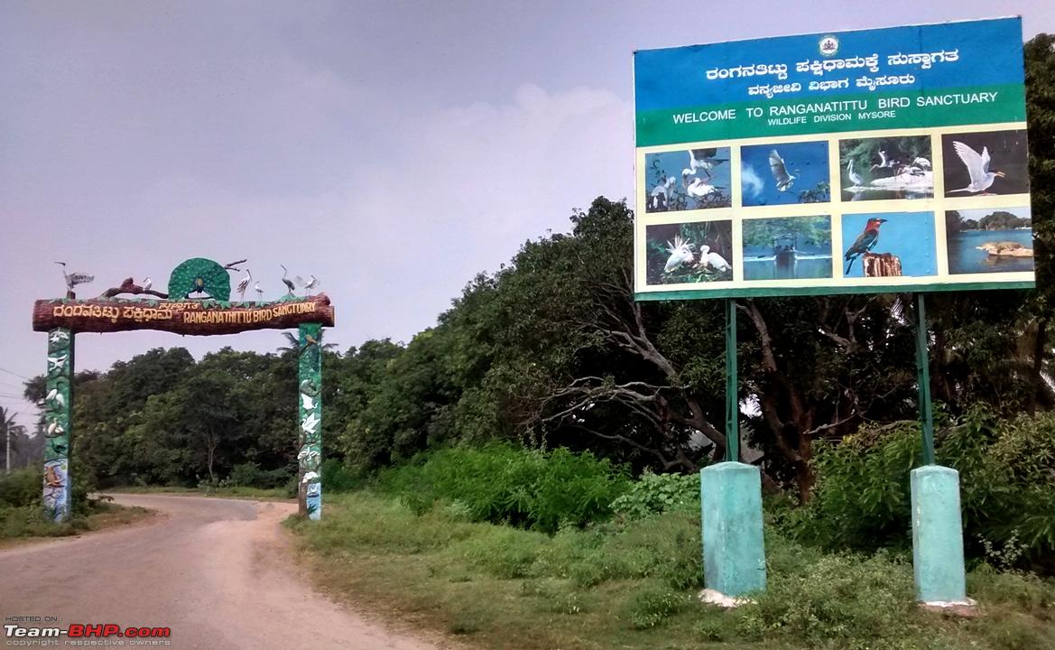 Photologue - Day trip to the Ranganathittu Bird Sanctuary! - Team-BHP