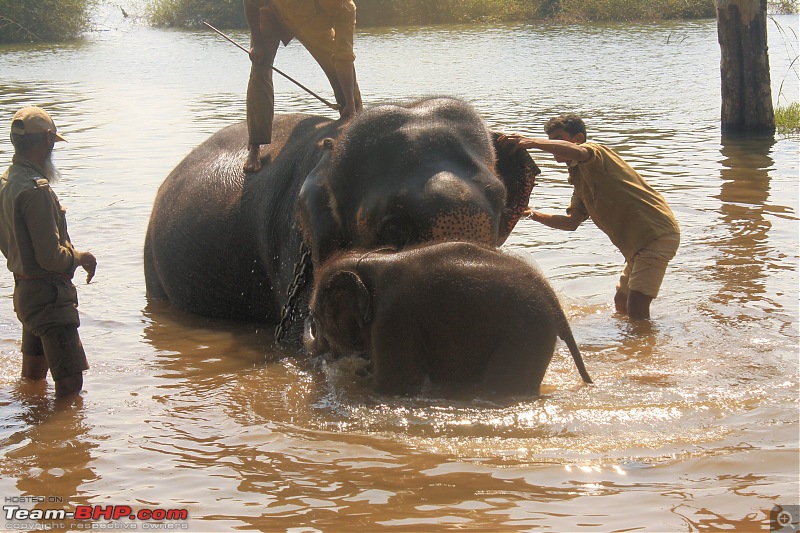 Weekend Trip : Bangalore - Kollur - Kodachadri -Sringeri - Halebidu-sakre-05.jpg