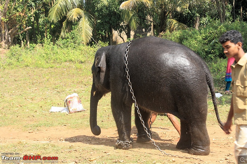 Weekend Trip : Bangalore - Kollur - Kodachadri -Sringeri - Halebidu-sakre-09.jpg