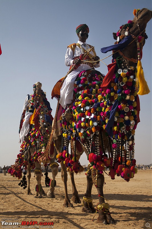 Reliving the glory of the Jaisalmer Desert Festival-camel-parades.jpg