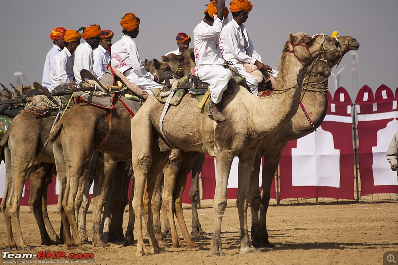 Reliving the glory of the Jaisalmer Desert Festival-festival-12.jpg