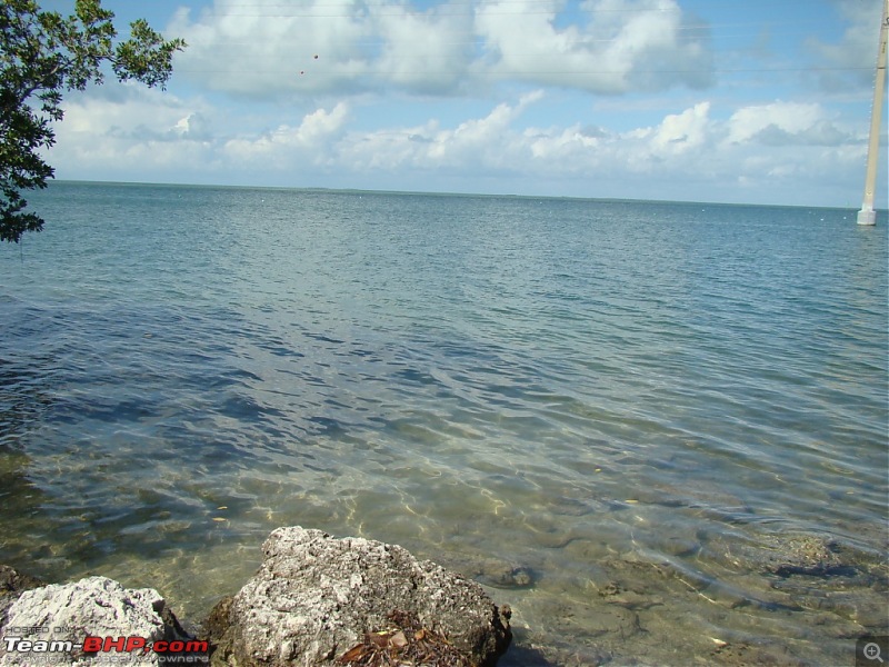 Photologue: Driving the 205 kms Overseas Highway, Florida-dsc03842.jpg