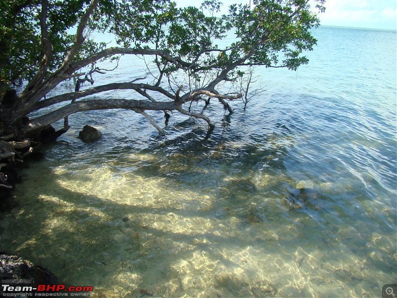 Photologue: Driving the 205 kms Overseas Highway, Florida-dsc03843.jpg