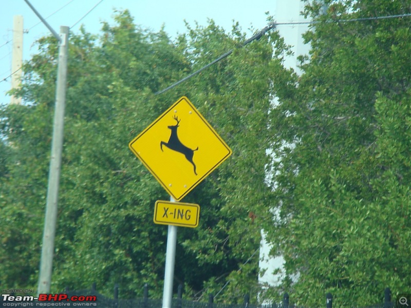 Photologue: Driving the 205 kms Overseas Highway, Florida-dsc03872.jpg