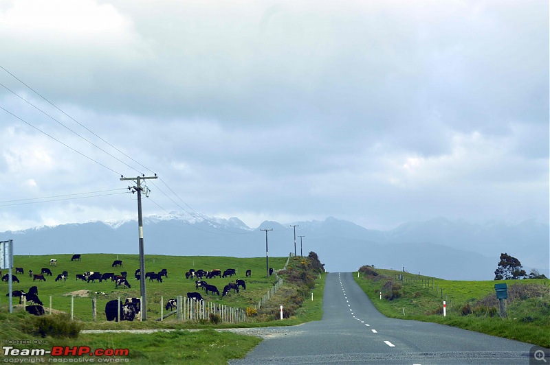 1 Country, 2 Islands, 4 weeks - New Zealand-dsc_0061-2.jpg