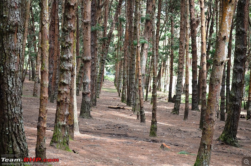 Roadtrip: Tirupur to Kodaikanal. Detailed Report with loads of pics-dsc_0094.jpg