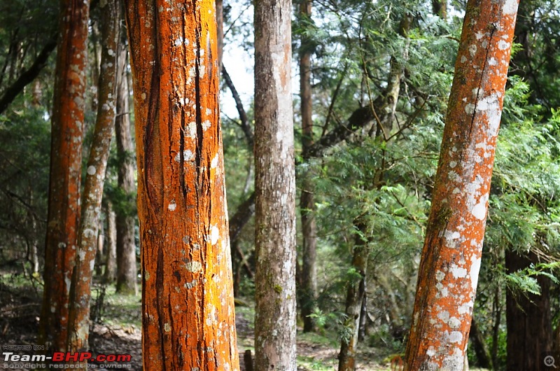 Roadtrip: Tirupur to Kodaikanal. Detailed Report with loads of pics-dsc_0136.jpg