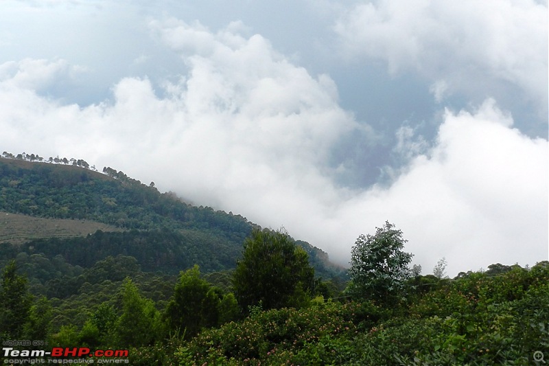 Roadtrip: Tirupur to Kodaikanal. Detailed Report with loads of pics-14_dscn8938.jpg