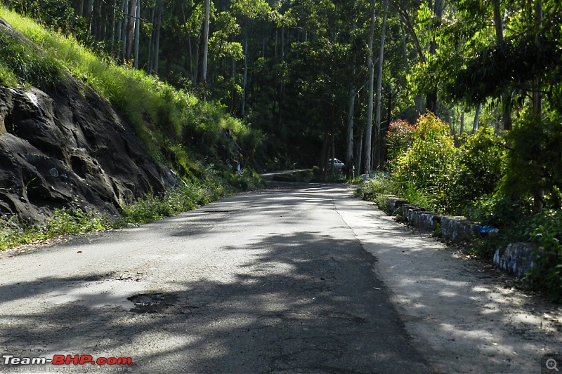 Roadtrip: Tirupur to Kodaikanal. Detailed Report with loads of pics-dscn8991.jpg