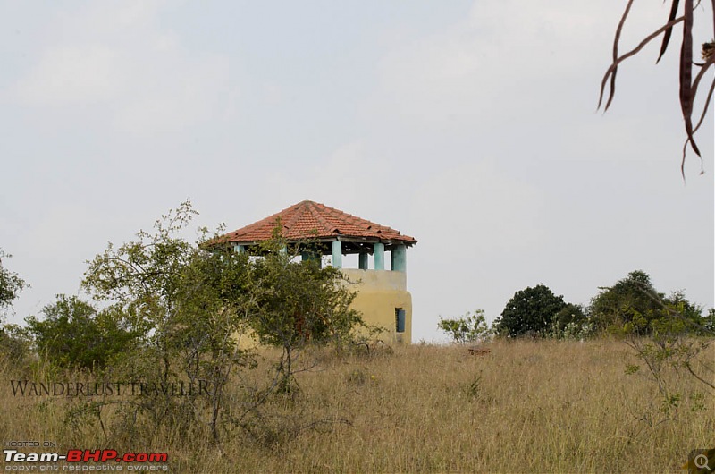 Wanderlust Traveller: Madhugiri Fort & Jayamangali Blackbuck Reserve-suh_8585.jpg