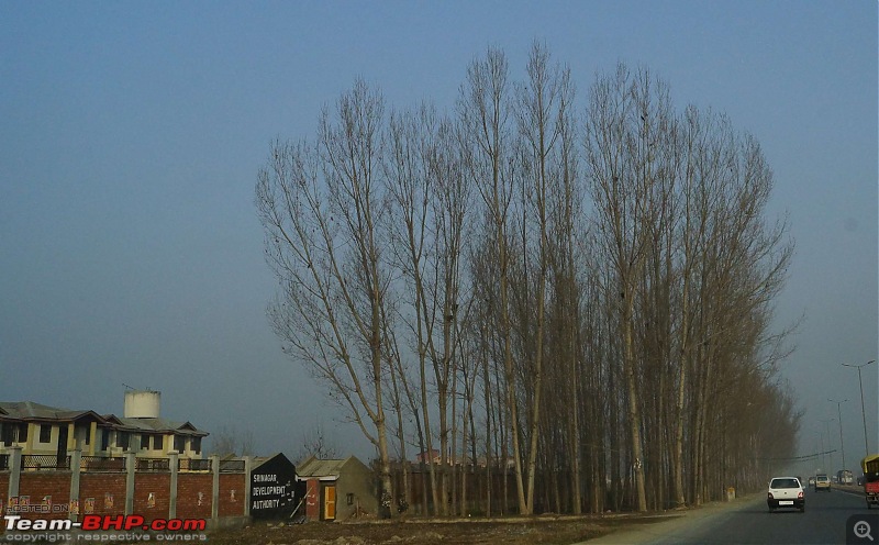 Kashmir in January: Srinagar (sans snow after floods), Gulmarg, Yousmarg & Pahalgam-gulmarg1-13.jpg