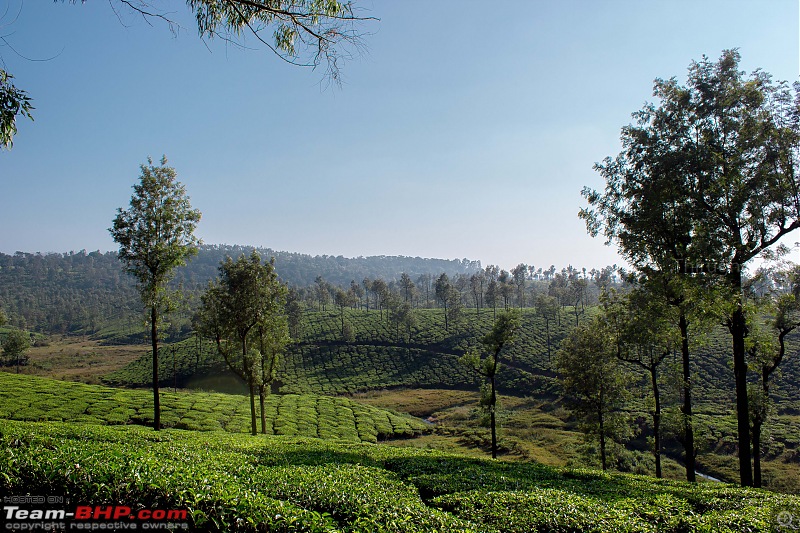 Killing kilometers softly: Episode Valparai-vaalparai120.jpg