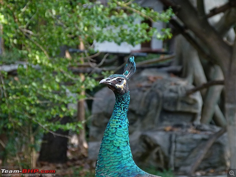 The Thailand Chronicles: 7 day road-trip to North Thailand-p1050680res.jpg