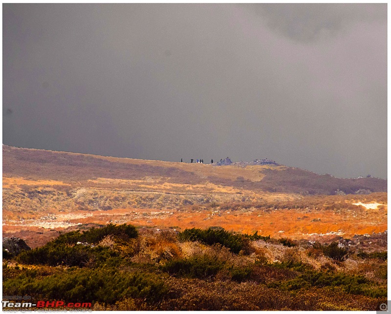 The Frosty Climb to Goecha La-day-5-12.jpg