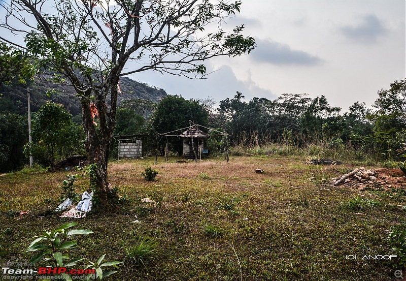 Voyage: Ellaveezhapoonchira, Kerala - A Solo Conquer-tn_dsc_0090.jpg