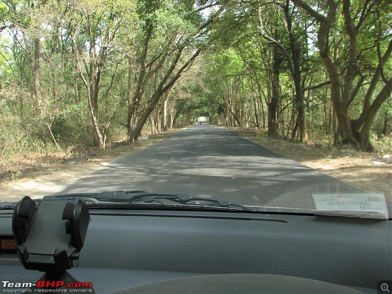 Chakrata, Kanasar, Renuka Lake - 978 kms on a weekend!-uktripmay09_138.jpg