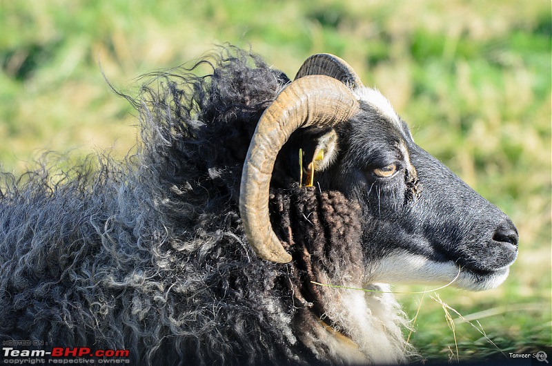 Iceland: A song of Ice and Fire-d70009899x2.jpg