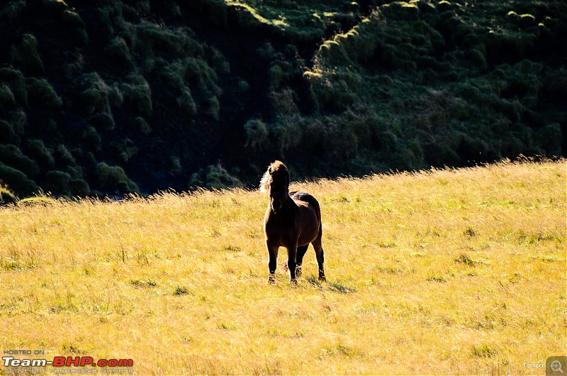 Iceland: A song of Ice and Fire-d70009904x2.jpg